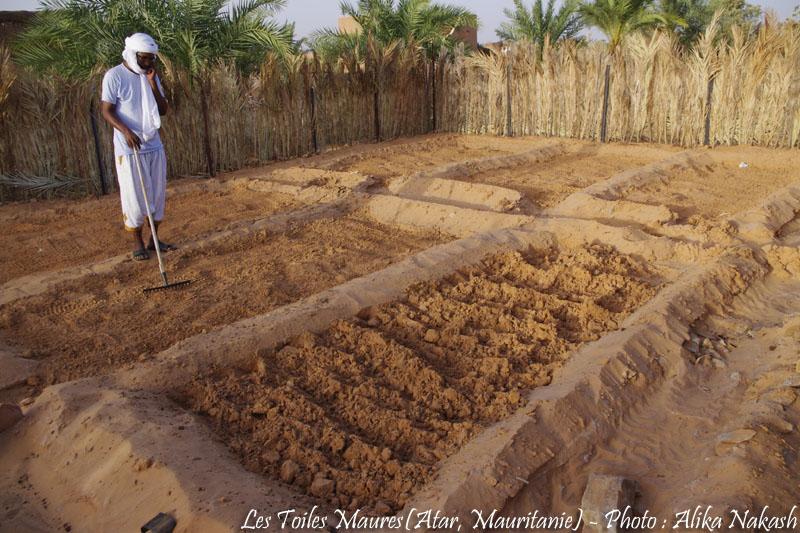 Sous les larmes de l'harmattan, un jardin est né... 49