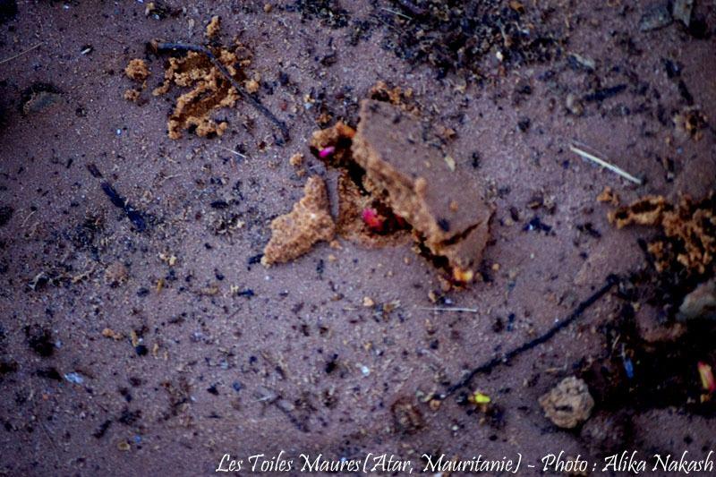 Sous les larmes de l'harmattan, un jardin est né... 90
