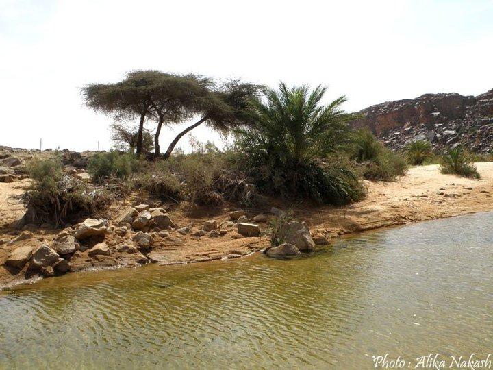 Adrar Intégrale 4