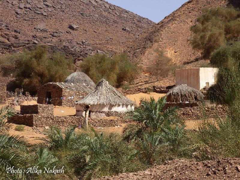 Adrar Intégrale 14