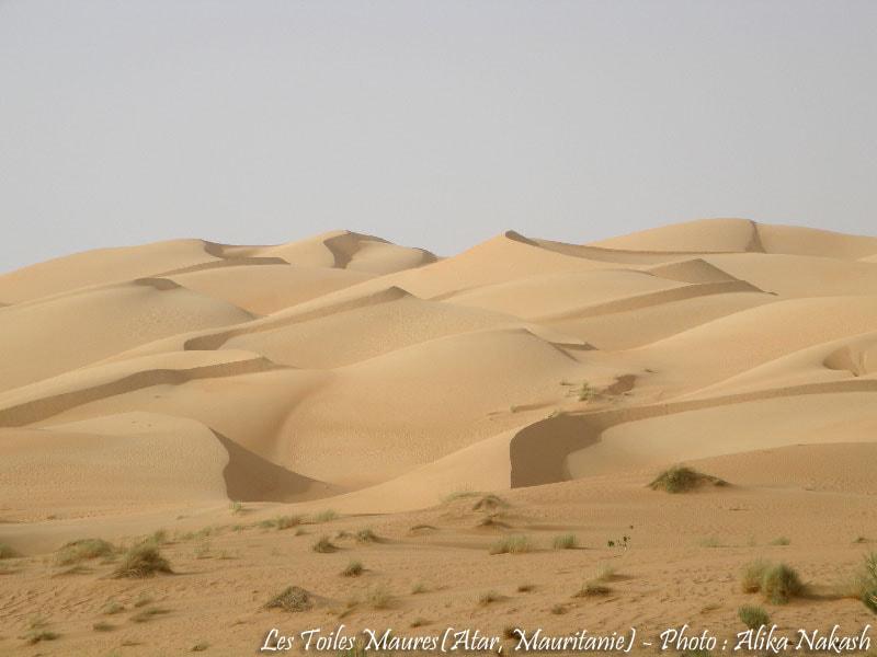 Adrar Intégrale 18