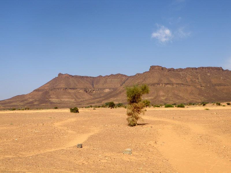 Adrar Intégrale 24