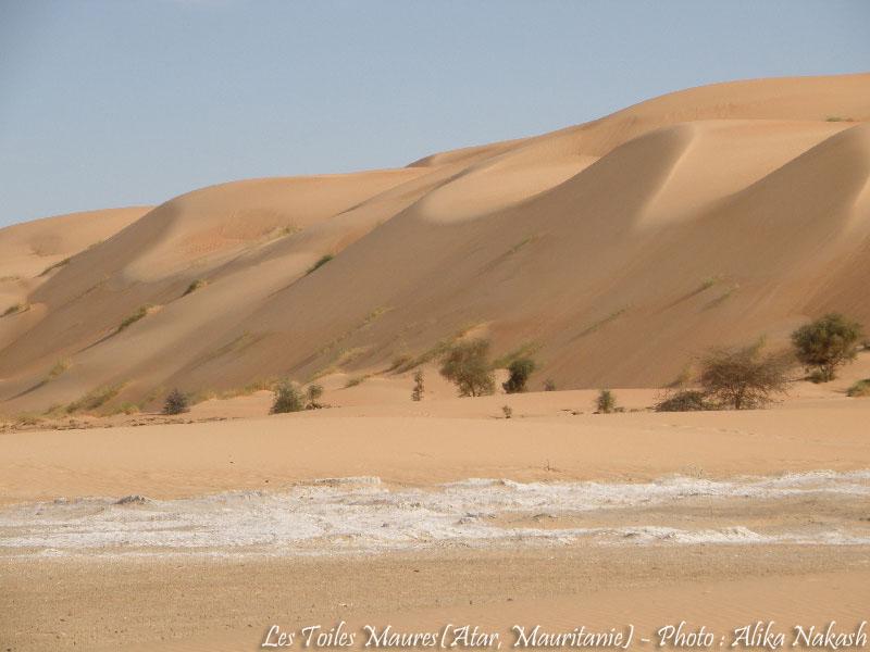 Adrar - Océan 6