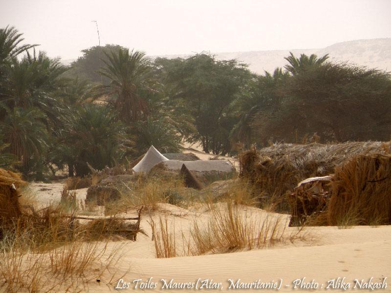 Adrar - Océan 7