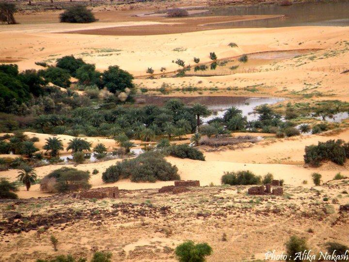 Adrar - Tagant 2