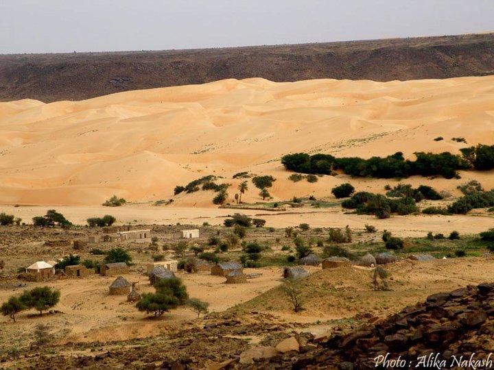 Adrar - Tagant 3