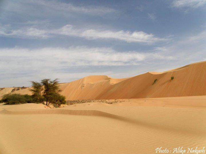 Adrar - Tagant 4