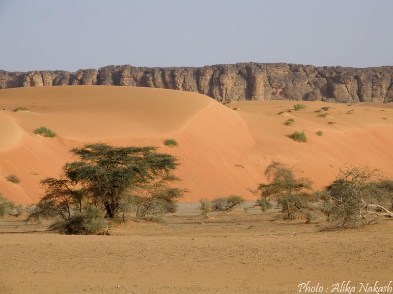 Adrar - Tagant