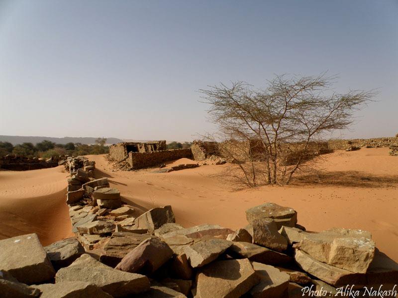 Adrar - Tagant 5