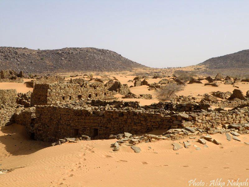 Adrar - Tagant 6