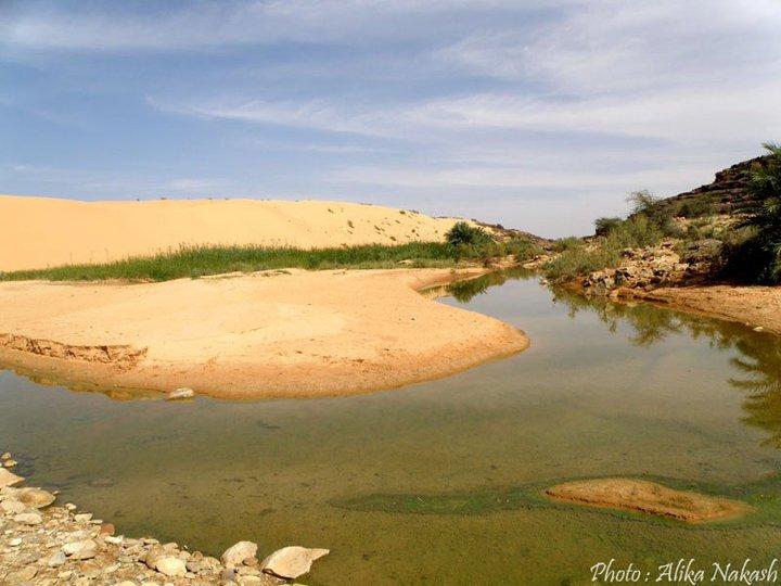 Adrar - Tagant 10