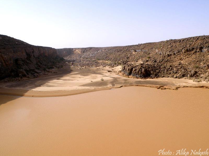 Adrar - Tagant 12