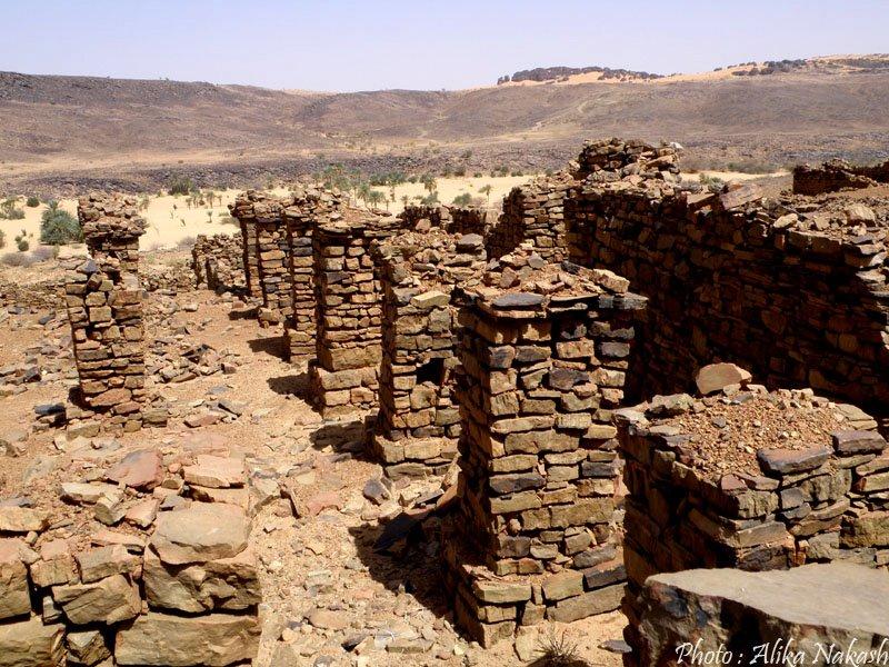 Adrar - Tagant 15