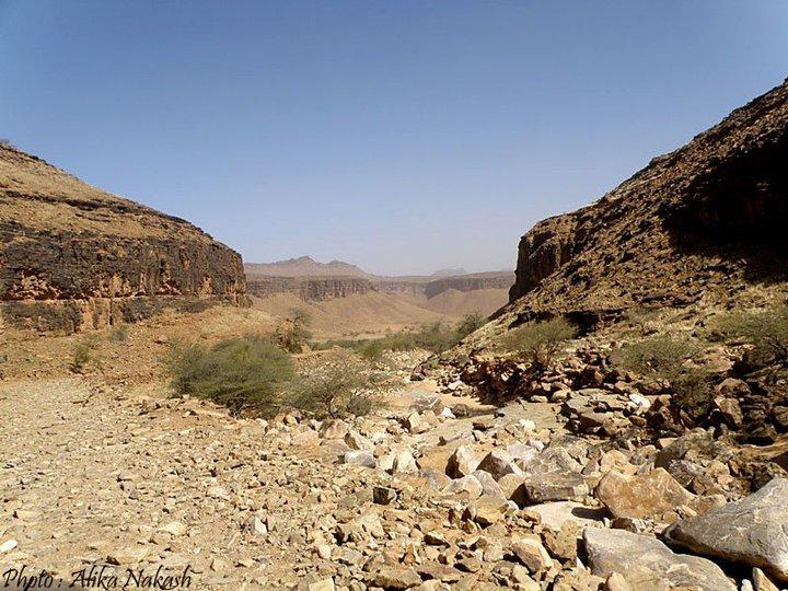 Adrar, train du désert et Banc d'Arguin 9