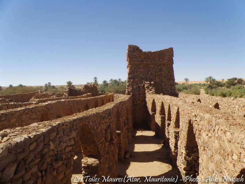 Adrar, train du désert et Banc d'Arguin 10