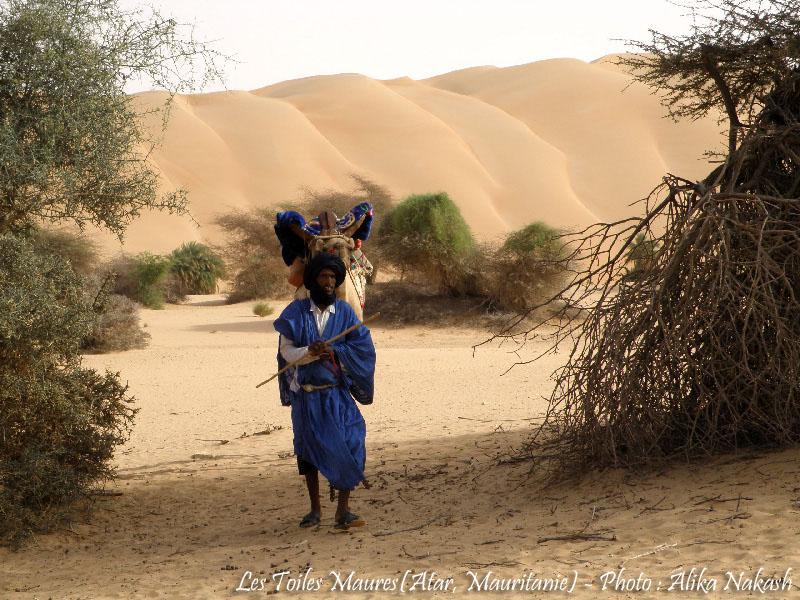 Adrar, train du désert et Banc d'Arguin 12