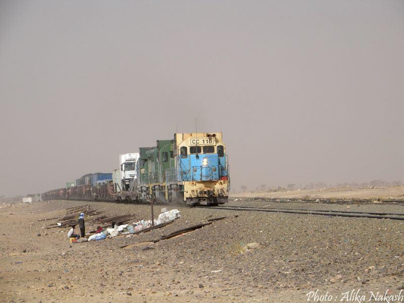 Adrar, train du désert et Banc d'Arguin 15