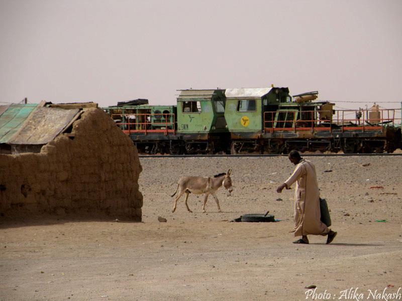 Adrar, train du désert et Banc d'Arguin 16