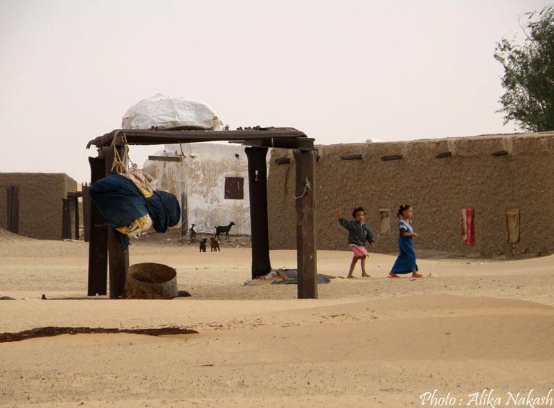 Adrar, train du désert et Banc d'Arguin 17