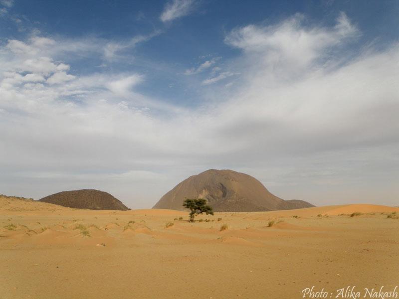 Adrar, train du désert et Banc d'Arguin 18