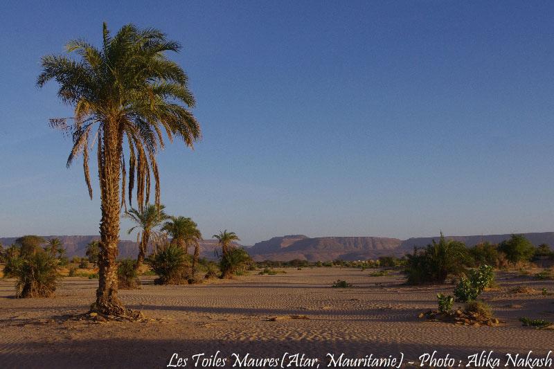 Au fil de l'oued 2
