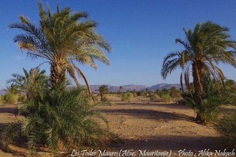 Au fil de l'oued 4
