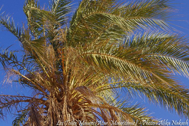 Au fil de l'oued 5