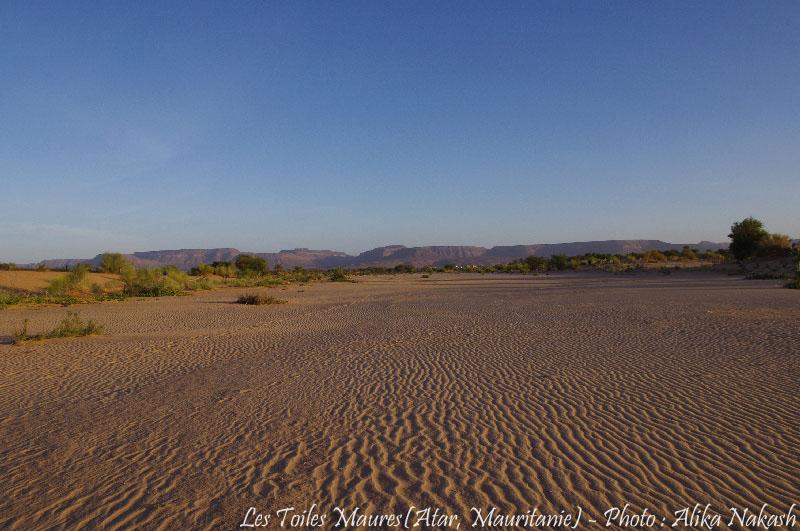 Au fil de l'oued 6