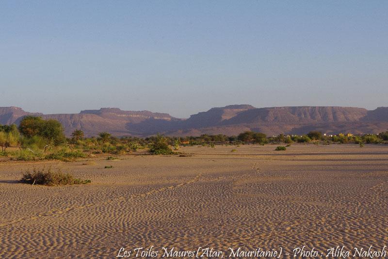 Au fil de l'oued 7