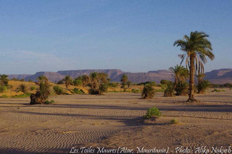 Au fil de l'oued 9