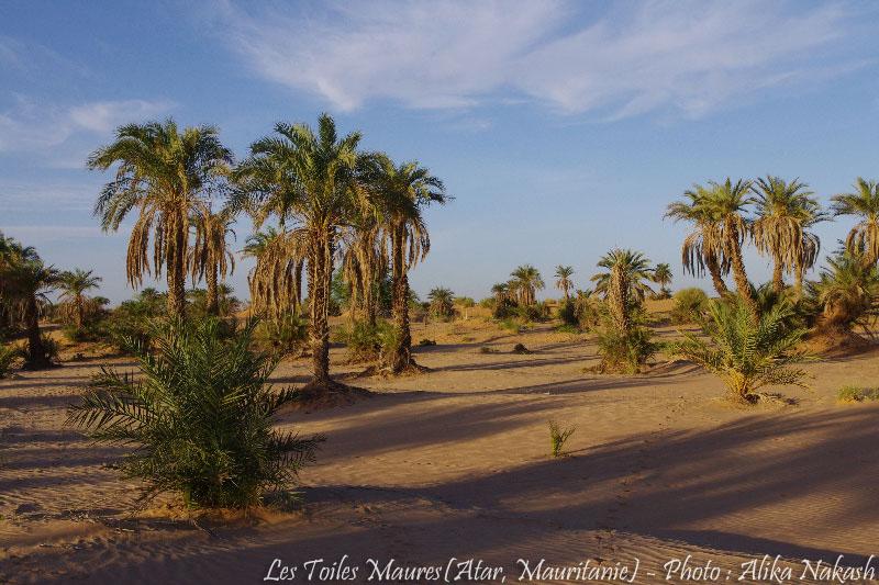 Au fil de l'oued 10