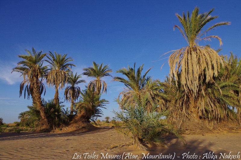 Au fil de l'oued 11
