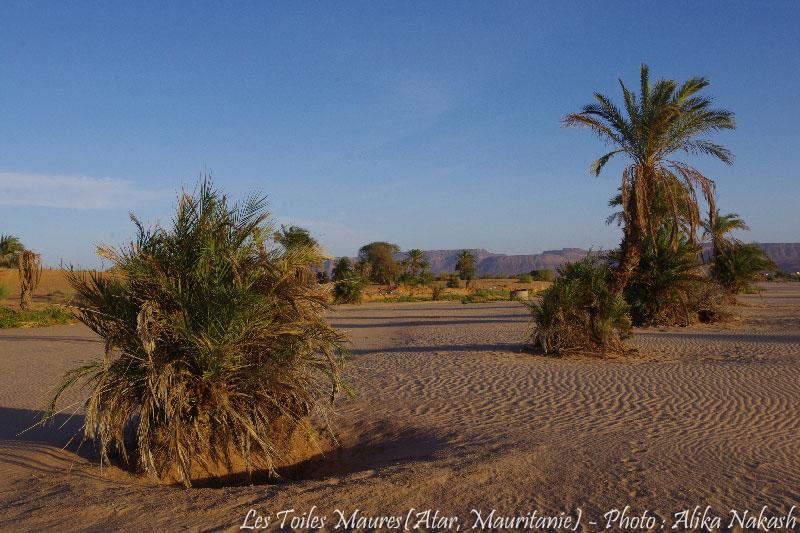 Au fil de l'oued 12