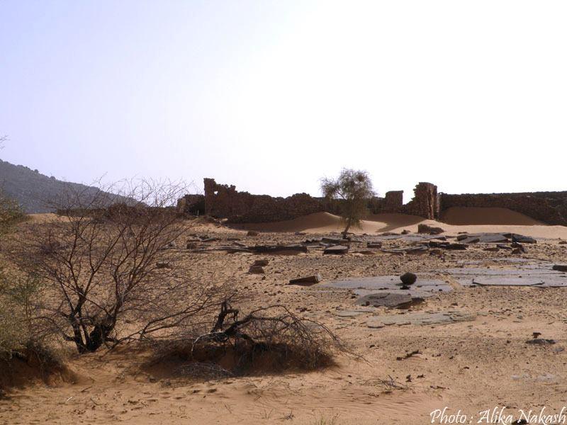 Au gré des sables 10