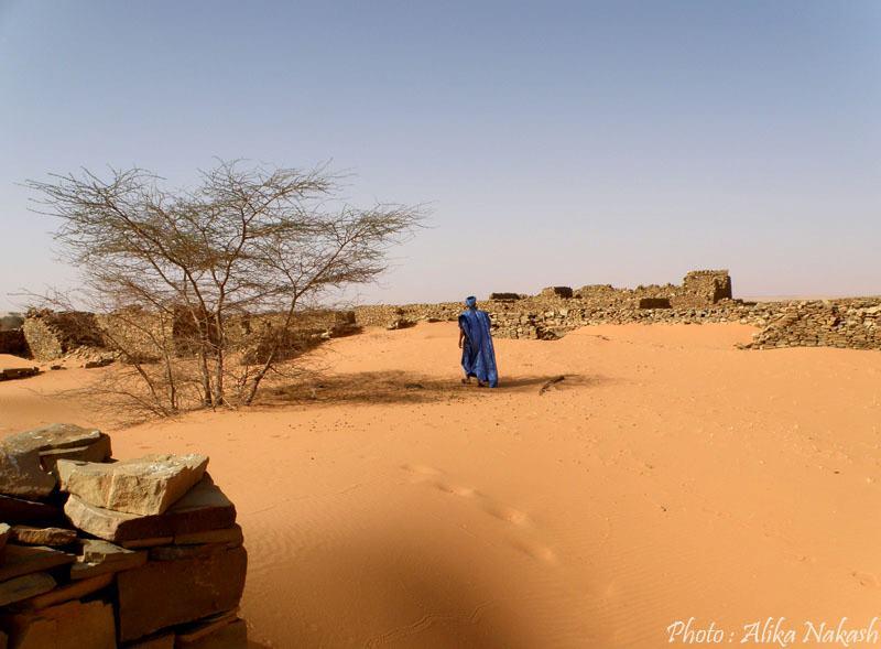 Au gré des sables 20