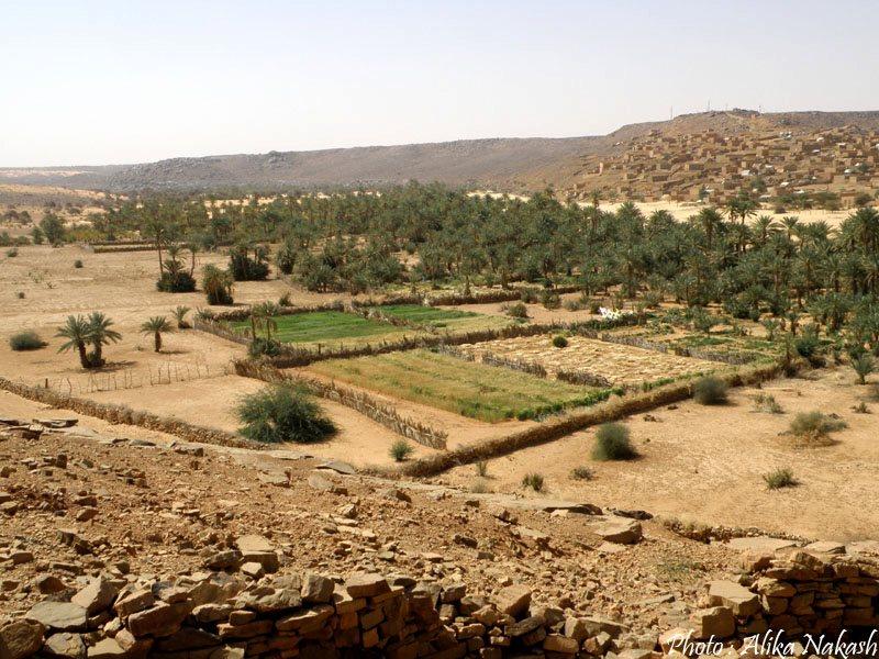 Au gré des sables 24