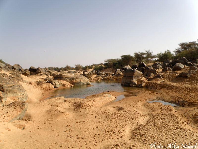 Au gré des sables 29