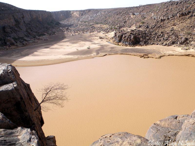 Au gré des sables 32