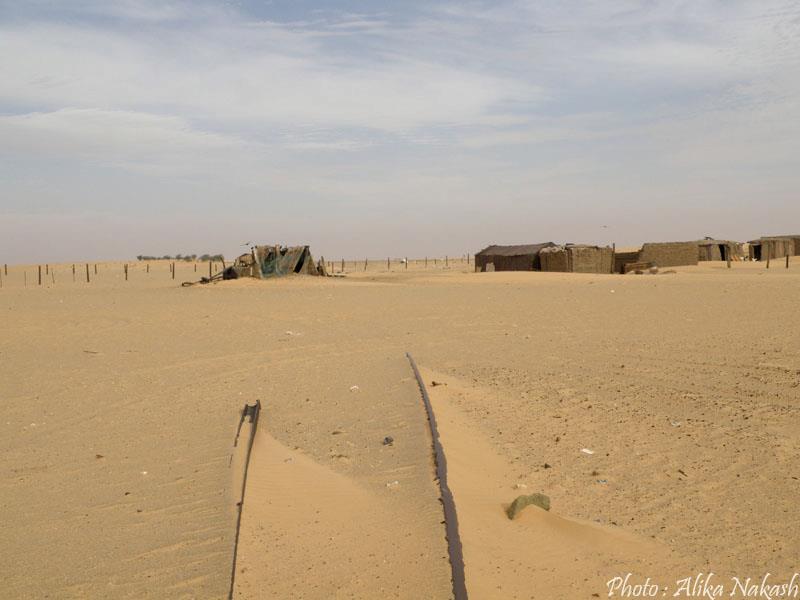 Au gré des sables 46