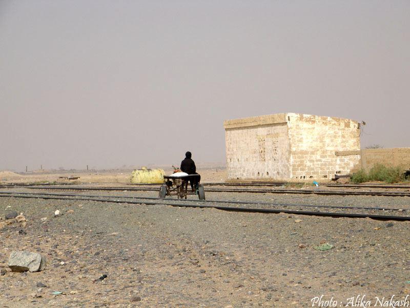 Au gré des sables 50