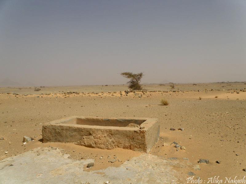 Au gré des sables 54