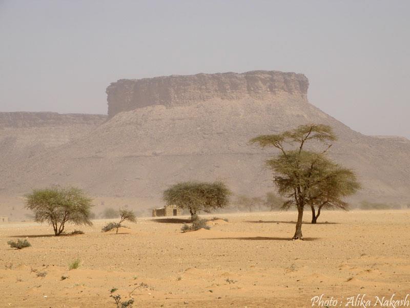 Au gré des sables 55