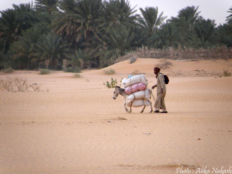 Au gré des sables 56