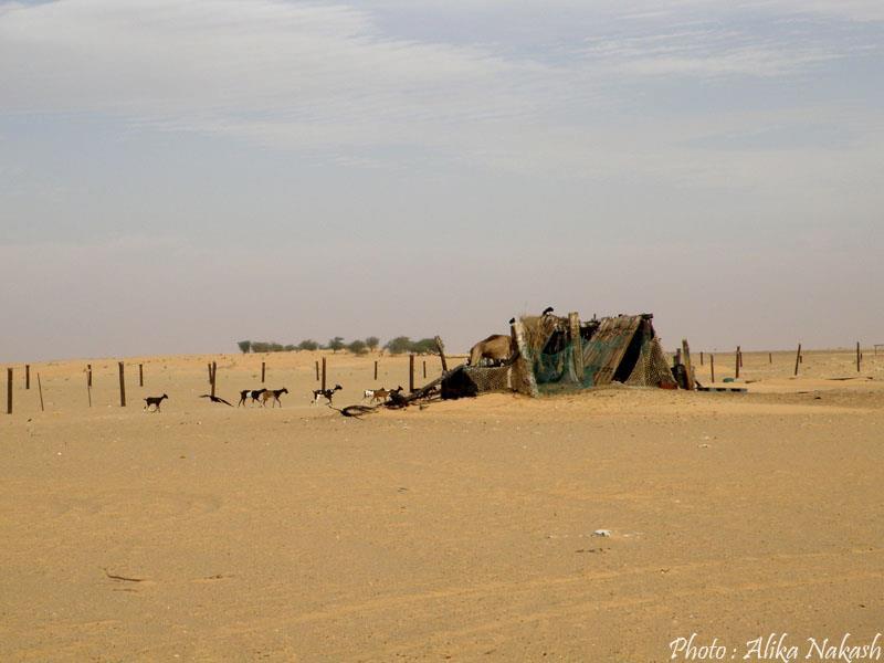 Au gré des sables 57