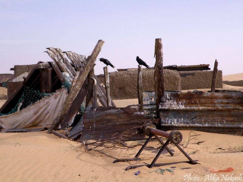 Au gré des sables 59
