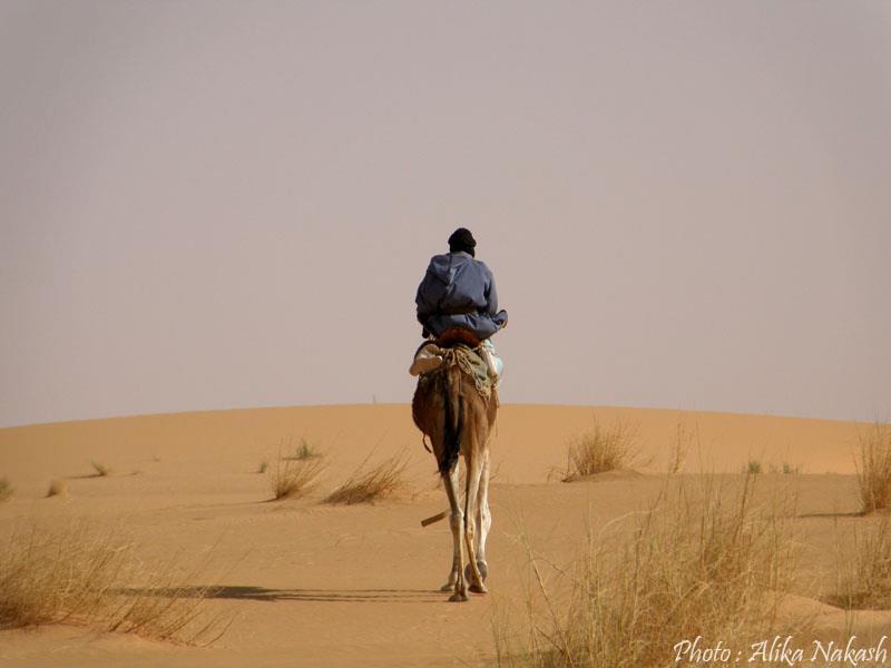 Au gré des sables 63