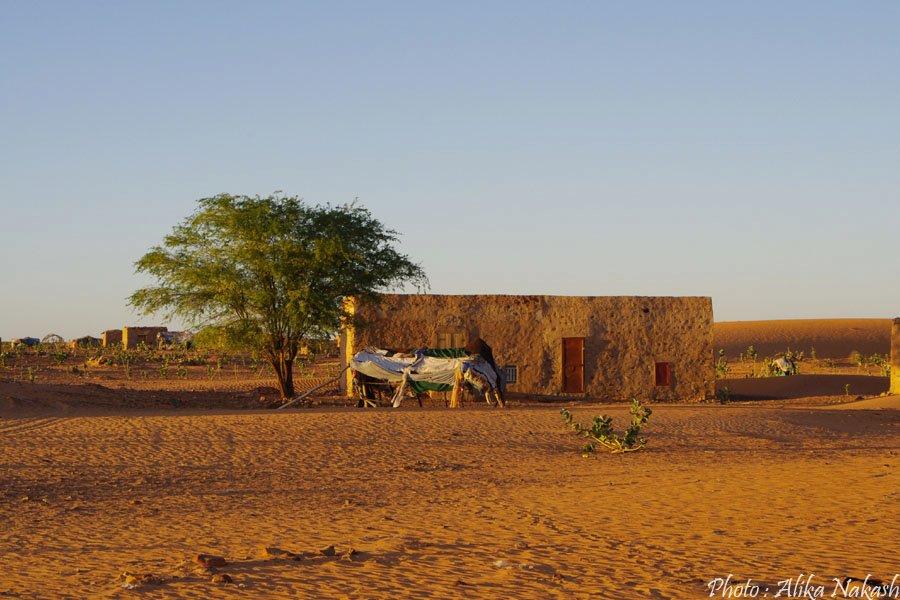 Au pays des princes 2
