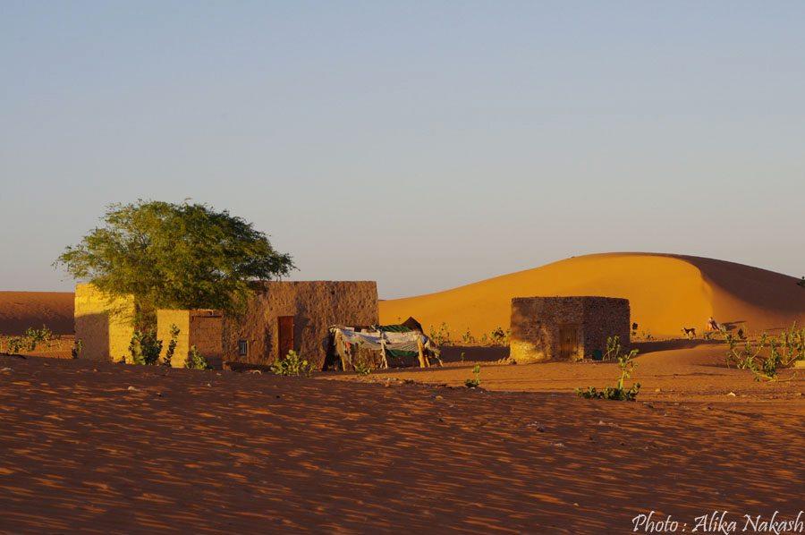 Au pays des princes 4