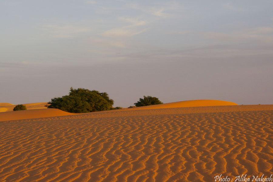 Au pays des princes 6