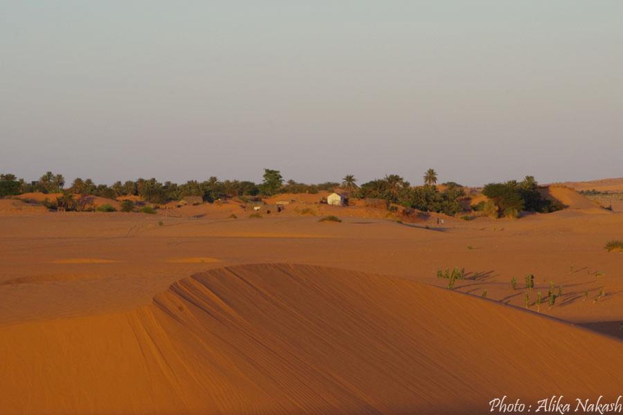 Au pays des princes 7